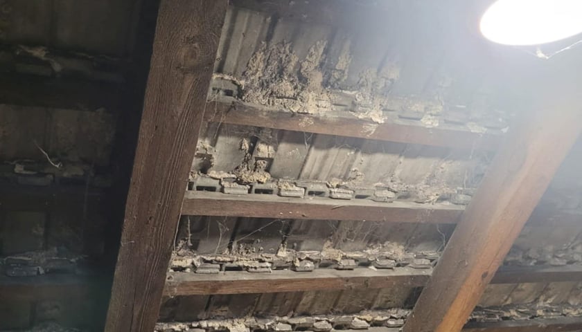 Azyl Ekostraży przy ul. Miłoszyckiej 67 we Wrocławiu pilnie potrzebuje remontu. Pierwszy etap już sie rozpoczął