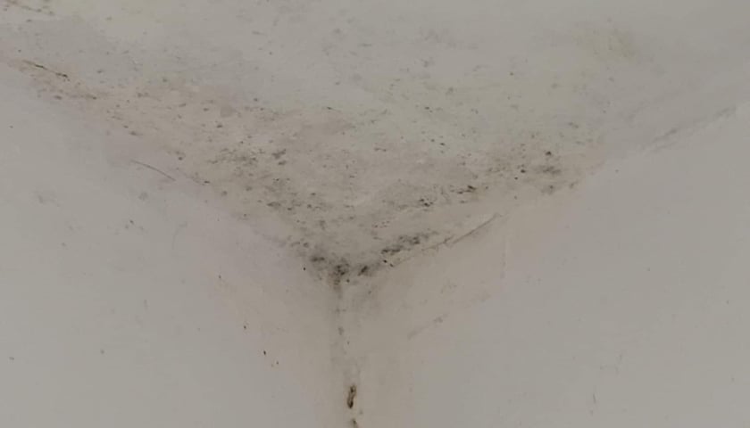 Azyl Ekostraży przy ul. Miłoszyckiej 67 we Wrocławiu pilnie potrzebuje remontu. Pierwszy etap już sie rozpoczął