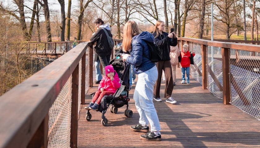 Nowa kładka nad wybiegiem niedźwiedzi we Wrocławskim zoo