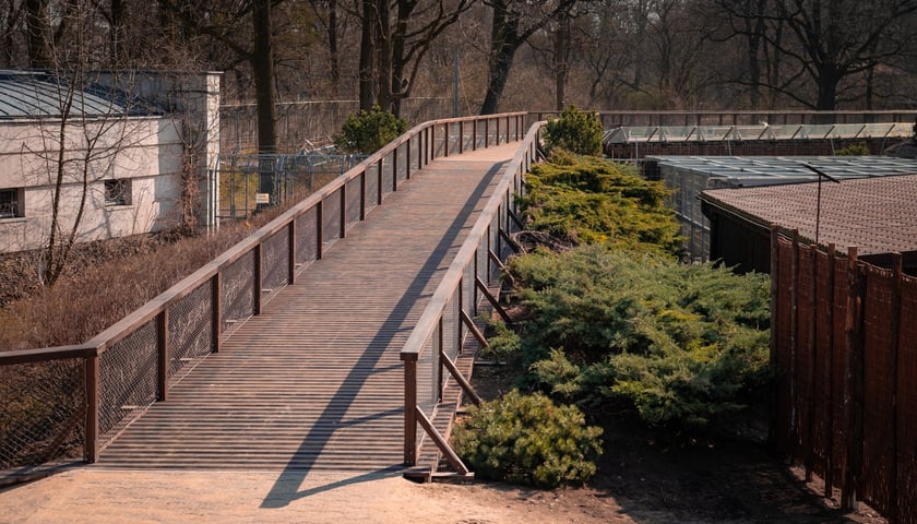Nowa kładka nad wybiegiem niedźwiedzi we Wrocławskim zoo