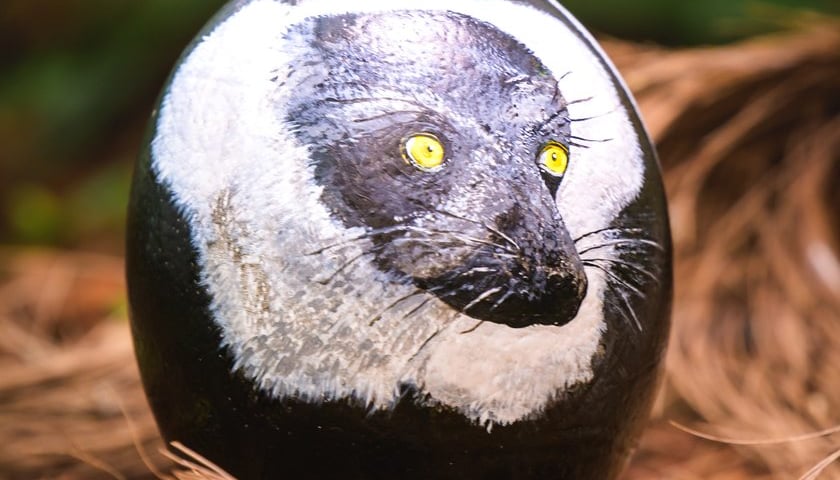 Jajo przygotowane prze Jacka Jerzmańskiego