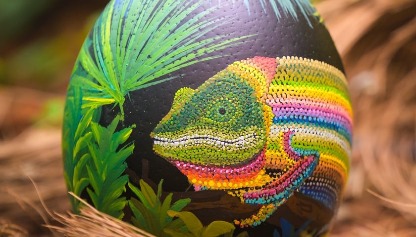 Jajo przygotowane przez Weronikę Łysek