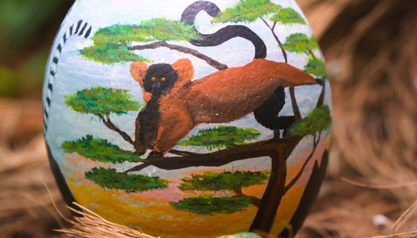 Jajo przygotowane przez Weronikę Łysek