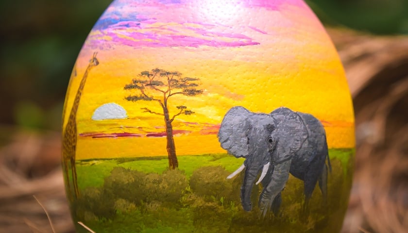 Jajo przygotowane przez Weronikę Łysek