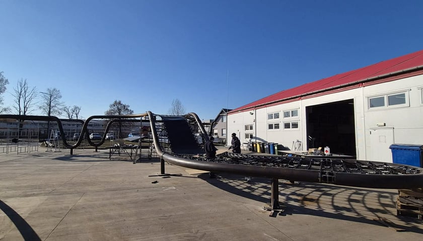 Linarium, które przyjedzie do Wrocławia