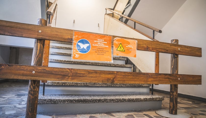 <p>Remont w Terrarium we wrocławskim zoo</p>