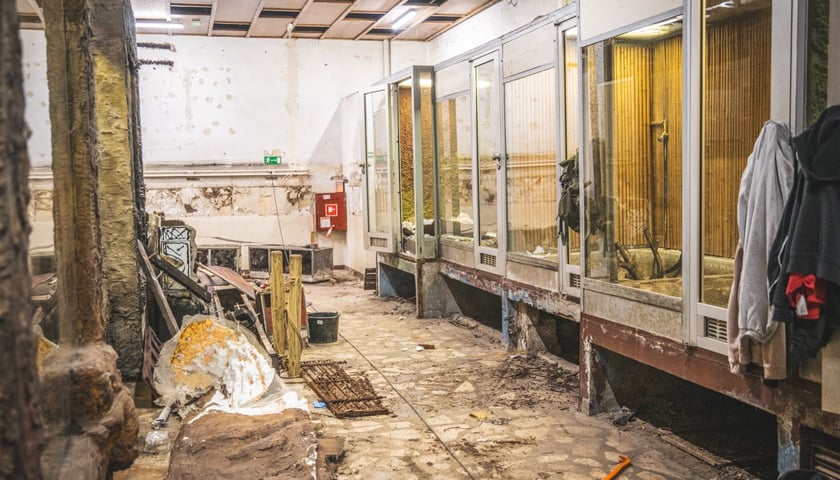 <p>Remont w Terrarium we wrocławskim zoo</p>