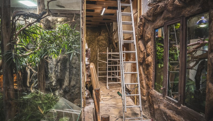 <p>Remont w Terrarium we wrocławskim zoo</p>