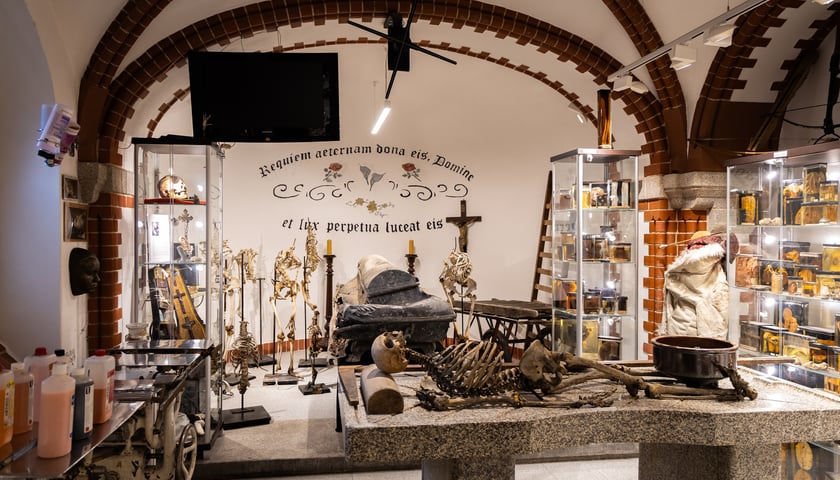 Noc Muzeów w Muzeum Medycyny Sądowej