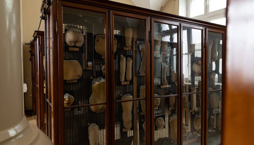 Noc Muze&oacute;w we Wrocławiu. Zwiedzanie Muzeum Mulaży Dermatologicznych Uniwersytetu Medycznego przy ul. Tytusa Chałubińskiego.