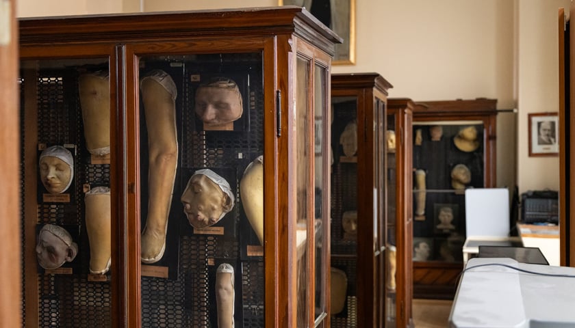 <p>Noc Muze&oacute;w we Wrocławiu. Zwiedzanie Muzeum Mulaży Dermatologicznych Uniwersytetu Medycznego przy ul. Tytusa Chałubińskiego.</p>
