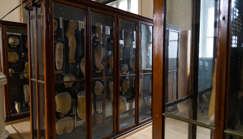 Noc Muze&oacute;w we Wrocławiu. Zwiedzanie Muzeum Mulaży Dermatologicznych Uniwersytetu Medycznego przy ul. Tytusa Chałubińskiego.