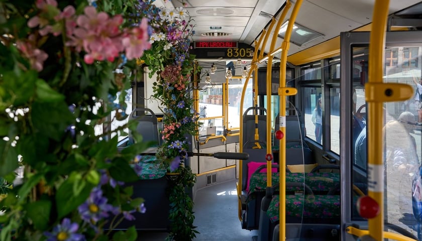 SILVERBUS. Zdjęcia powstały podczas konferencji prasowej 8 czerwca 2026