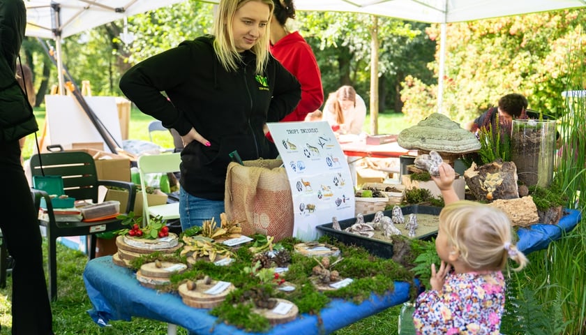 Piknik Sobota z Zielonym Wrocławiem na Polanie Popowickiej