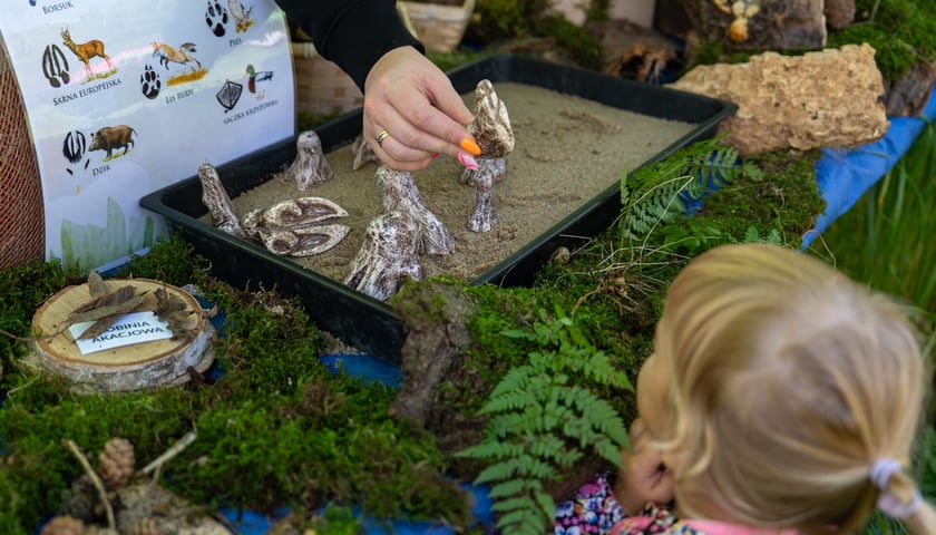 Piknik Sobota z Zielonym Wrocławiem na Polanie Popowickiej