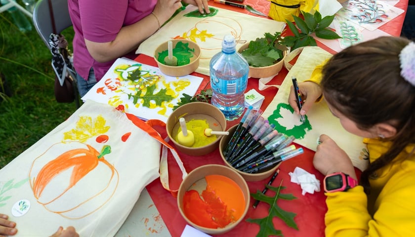 Piknik Sobota z Zielonym Wrocławiem na Polanie Popowickiej