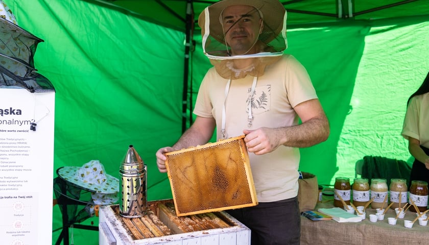 Piknik Sobota z Zielonym Wrocławiem na Polanie Popowickiej