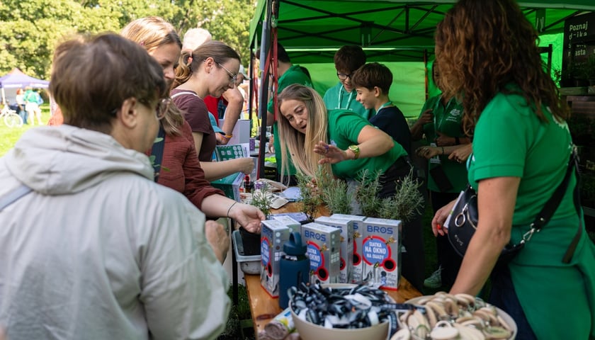 Piknik Sobota z Zielonym Wrocławiem na Polanie Popowickiej