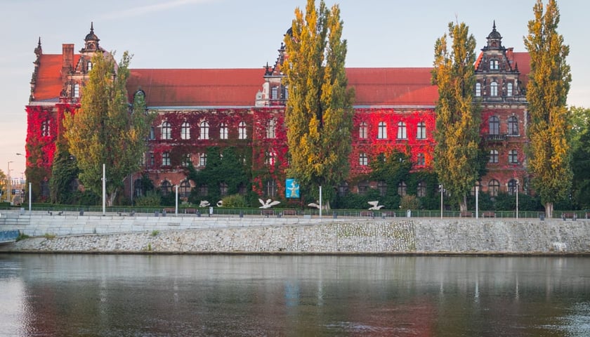 Porośnięta winobluszczem północna ściana Muzeum Narodowego na początku października, kiedy roślina zmienia kolor na czerwony.