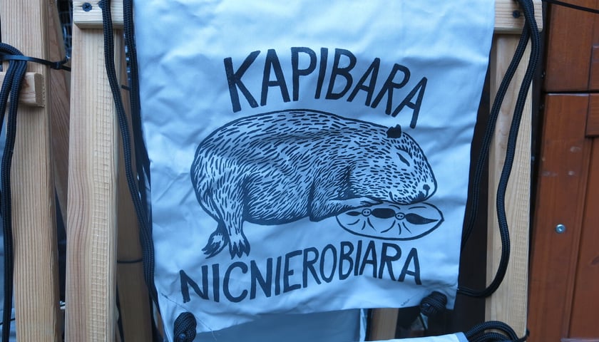 Jarmark Bożonarodzeniowy 2025