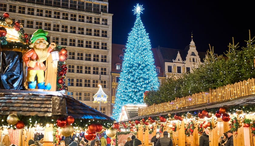 Rozświetlona choinka na wrocławskim Rynku, grudzień 2024