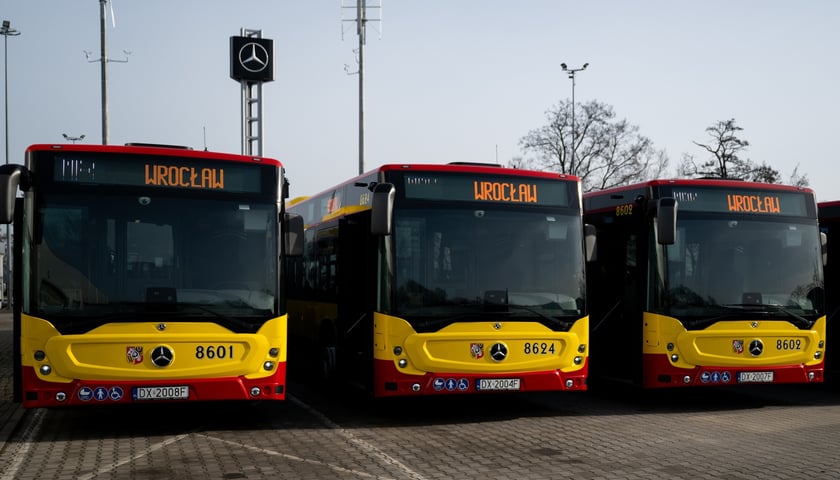 Nowe Mercedesy Conecto MPK Wrocław