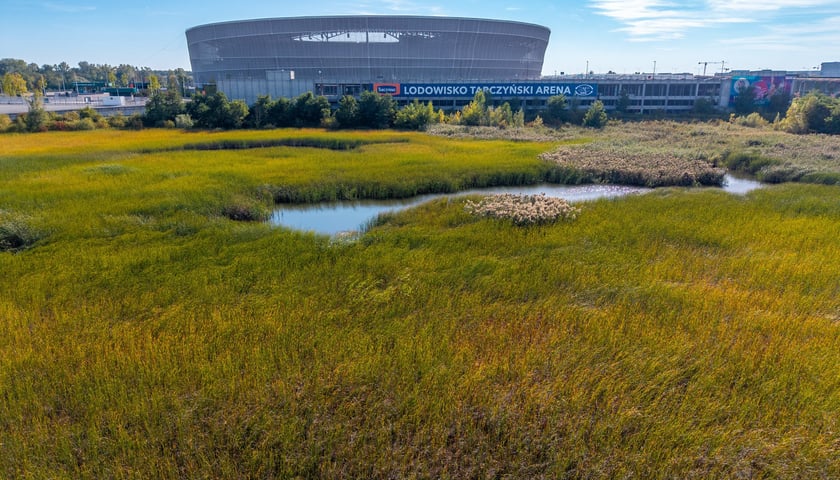 Teren przy Stadionie Tarczyński Arena brany pod uwagę w analizach zasadności budowy hali widowiskowo-sportowej i małej hali wielofunkcyjnej, wrzesień 2026