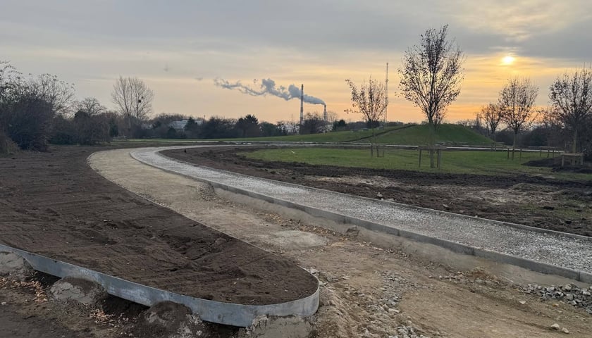 Prace na Górce Szczepińskiej we Wrocławiu