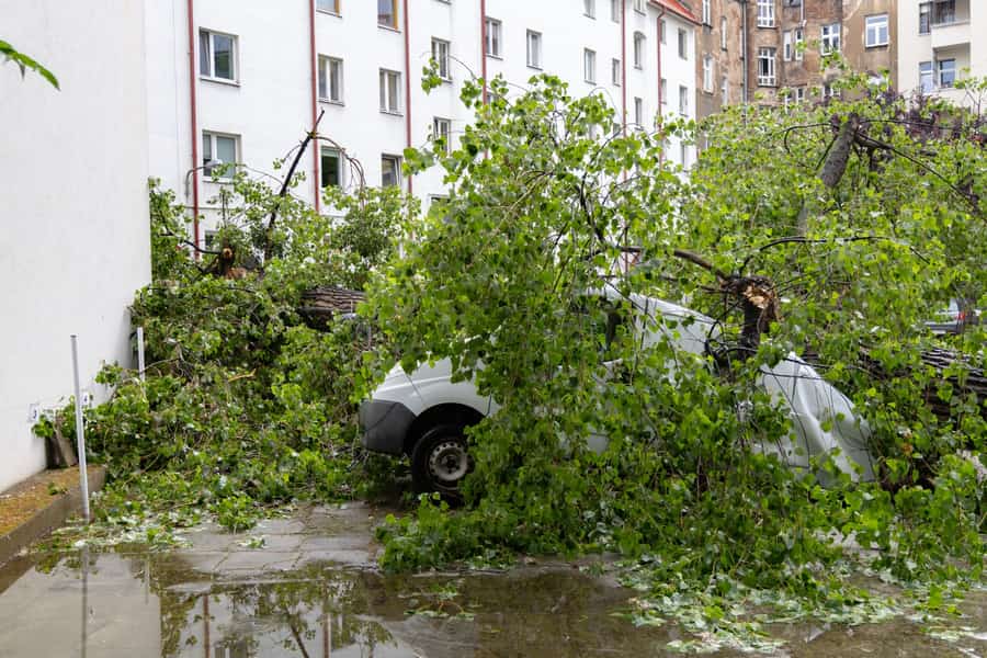 Drzewo powalone na samochód przy ulicy Kluczborskiej we Wrocławiu