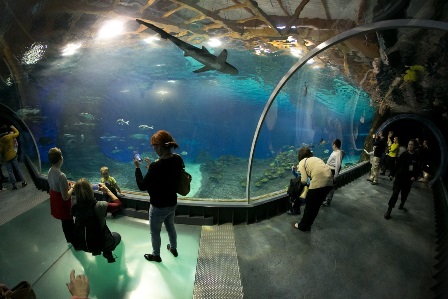 Afrykarium we wrocławskim zoo