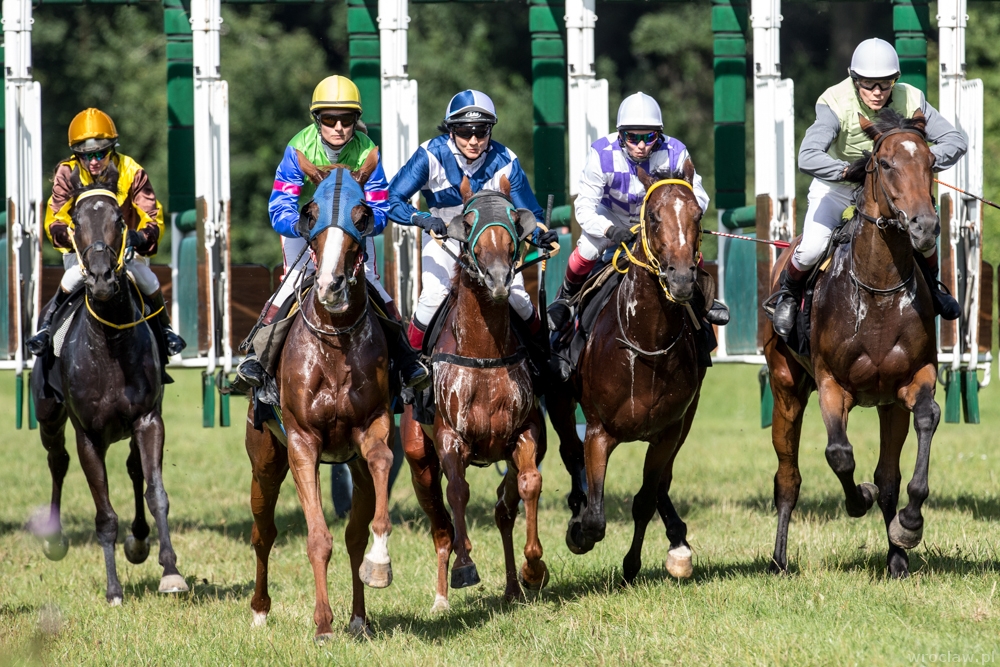 Rusza sezon wyścigów konnych