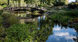 Majówka Tumska w Ogrodzie Botanicznym 