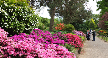 Arboretum w Wojsławicach