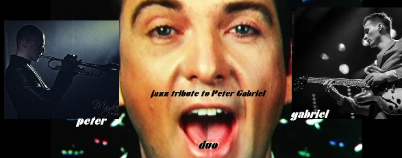 Koncert Peter Gabriel Duo