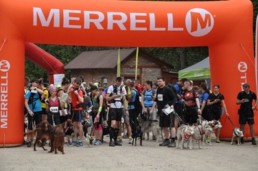 Zawody Pucharu Polski 2015 w Dogtrekkingu w Wiszni Małej