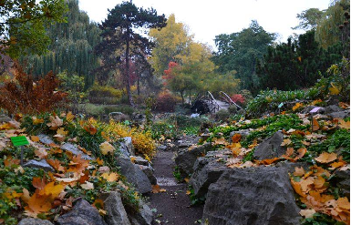 Ogród Botaniczny kończy sezon