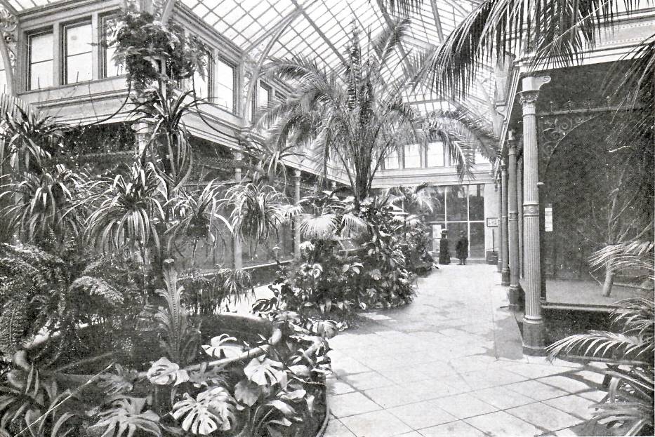 ptaszrnia zoo