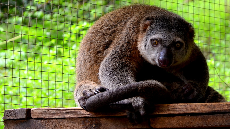 Fot. Zoo Wrocław