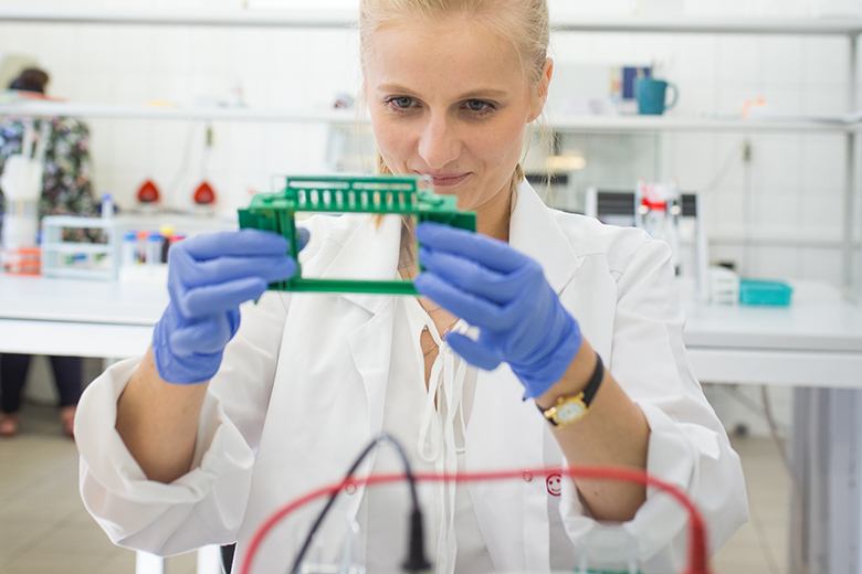 Katarzyna Kornacka-Grabowska Uniwersytet Przyrodniczy we Wrocławiu