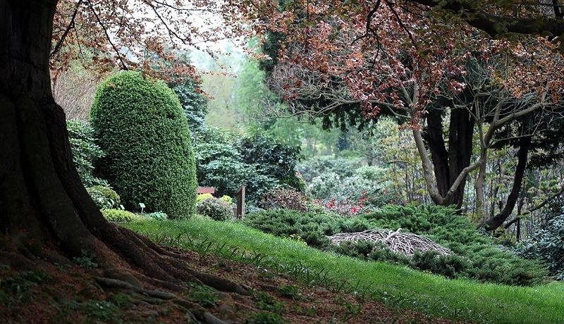 Arboretum Ogrodu Botanicznego w Wojsławicach