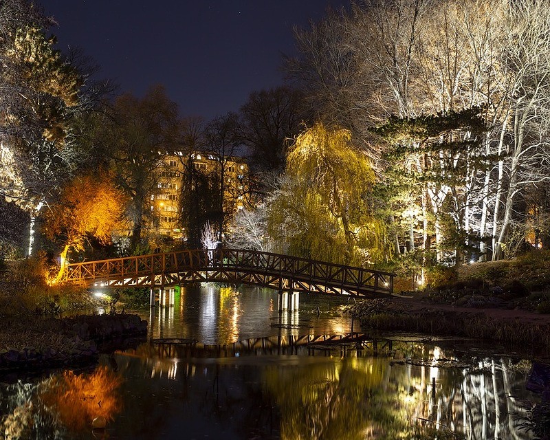 pokazy iluminacji 
 w ogrodzie botanicznym