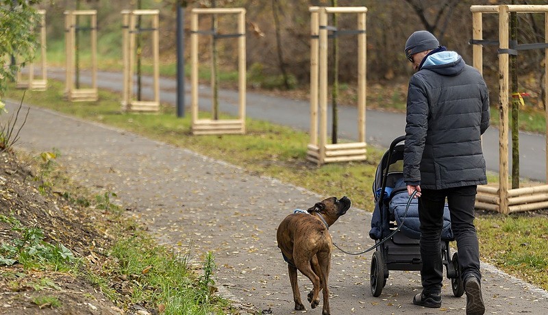 Promenada Krzycka przeznaczona jest dla pieszych i rowerzystów