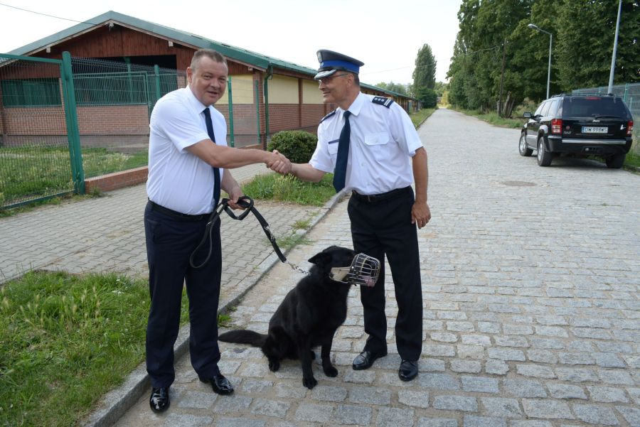 dolnośląska Policja