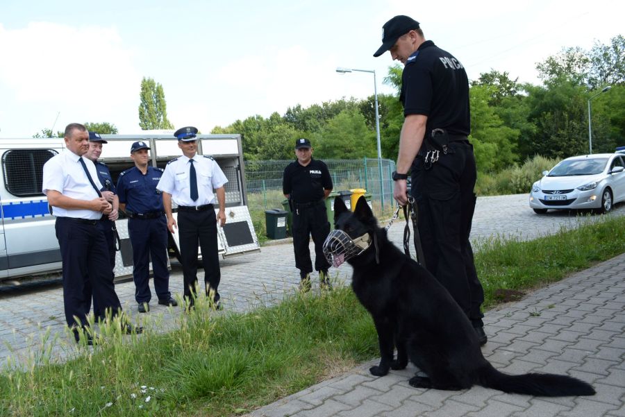 dolnośląska Policja