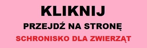 KLIKNIJ