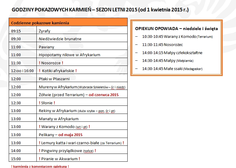 zoo-pokazowe karmienie