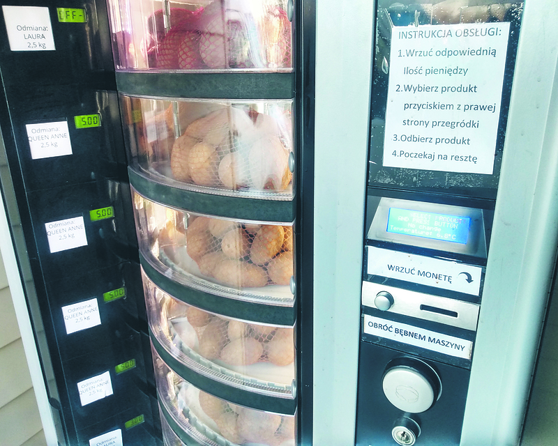 ziemniakomt przy Astrze