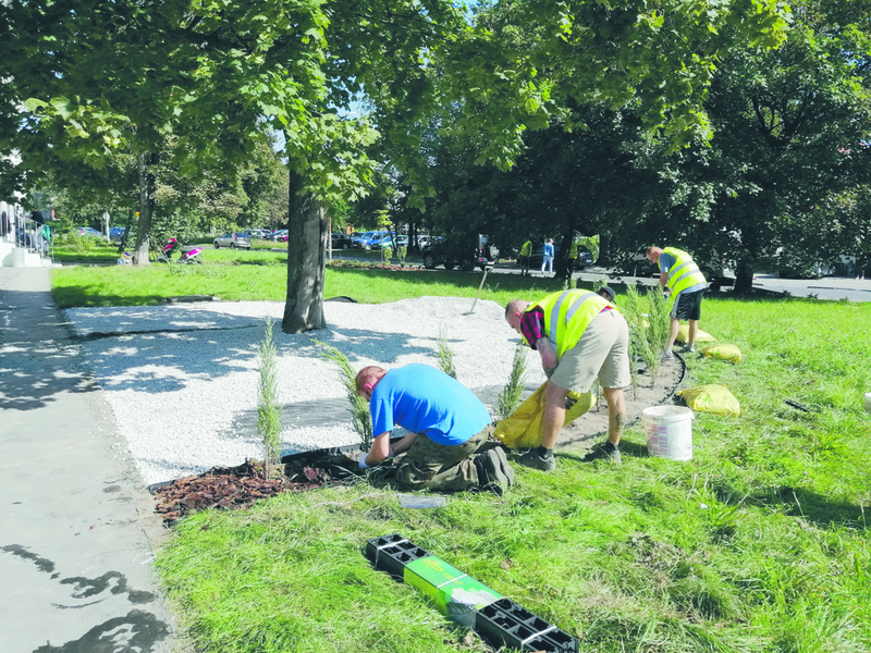 Mężczyźni prace socjalne Wrocław