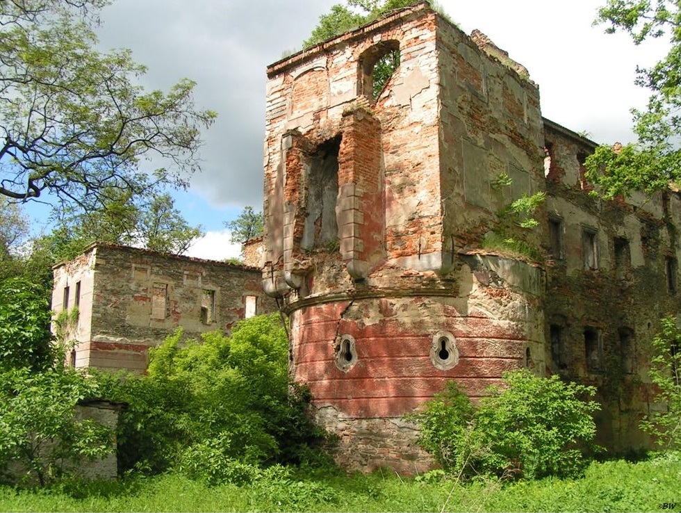 Ruiny pałacu w Pielaszkowicach
