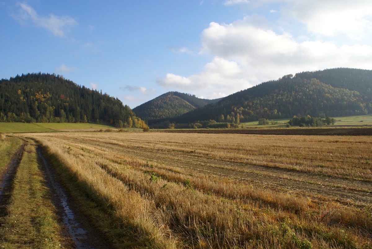 Widok na Krucze Skały